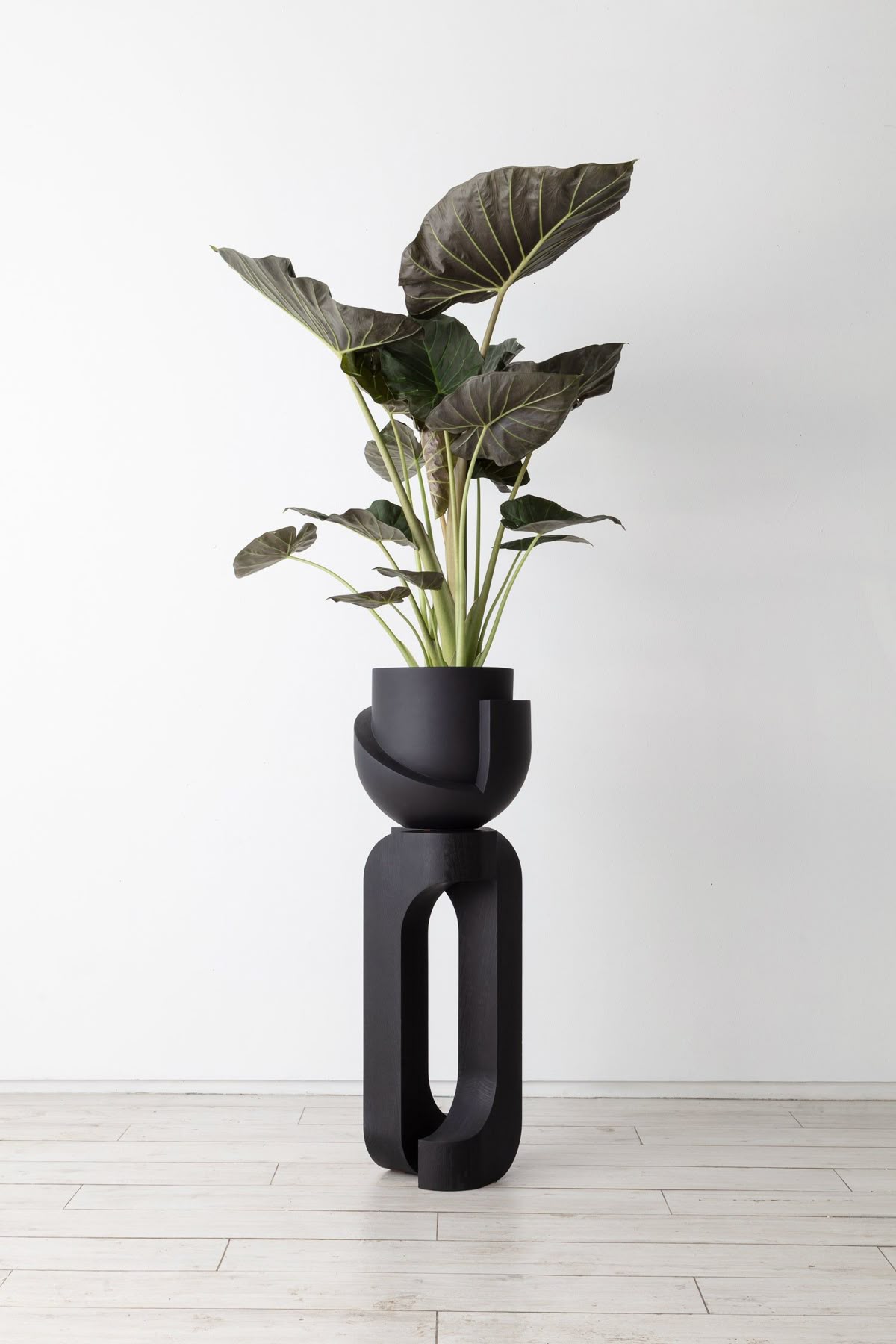 Xena Flower Pot